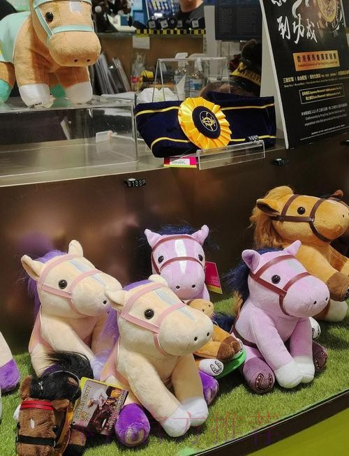 香港赛区一张门票可看多场比赛