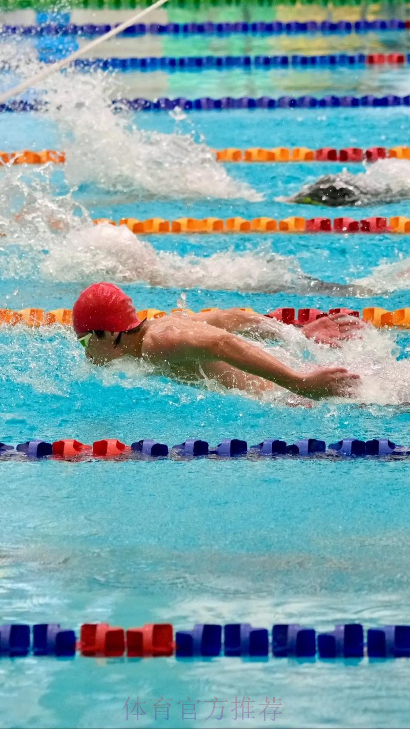 20260118 蝶泳